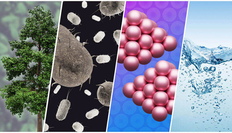Chemical researchers invent