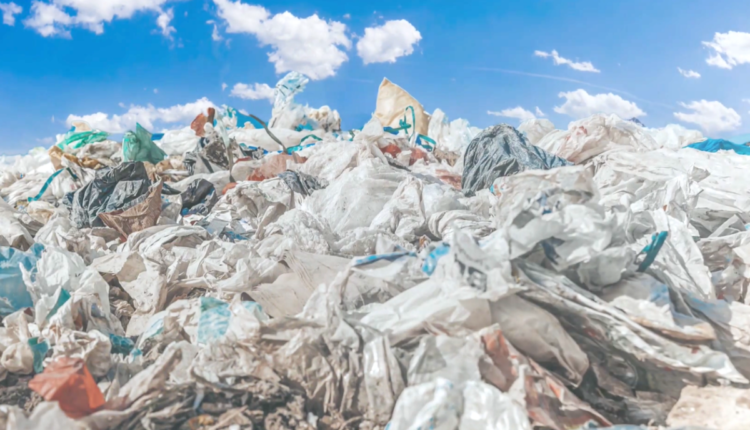 Plastic-eating Enzyme Could Eliminate Billions of Tons of Landfill Waste