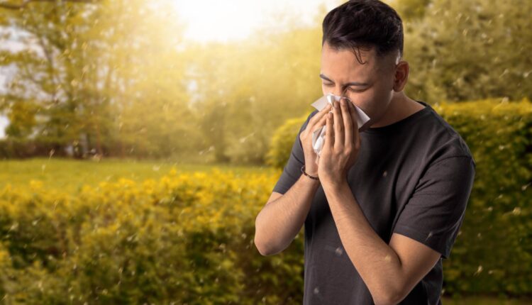 Devan Launches Purissimo NTL, a Full Biobased, Biodegradable Allergen Control Technology